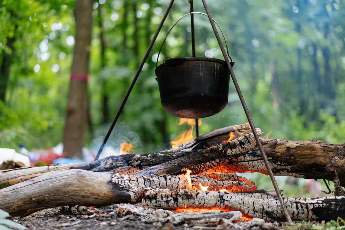 How To Choose the Best Campfire Cooking Equipment A Guide