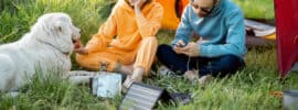 Camping with Pets: Tips for a Safe and Enjoyable Trip